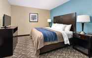 ห้องนอน 4 Comfort Inn & Suites Springfield I-55