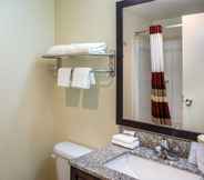 In-room Bathroom 3 Red Roof Inn Richmond (ex. Super 8 Richmond)