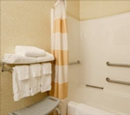 In-room Bathroom 5 Quality Inn and Suites Bay City