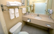 Bilik Mandi dalam Bilik 4 Holiday Inn Express Hopewell - Fort Lee Area, an IHG Hotel