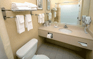 Phòng tắm bên trong 4 Holiday Inn Express Hopewell - Fort Lee Area, an IHG Hotel