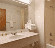 In-room Bathroom 2 Asteria Inn & Suites