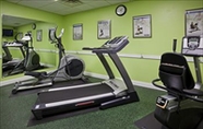 Fitness Center 6 Four Points by Sheraton Appleton