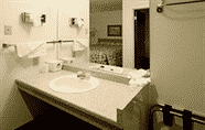 In-room Bathroom 5 Americas Best Value Inn