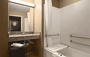 In-room Bathroom 4 Microtel Inn & Suites by Wyndham Aztec