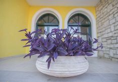 Others 7 Corfu Residence