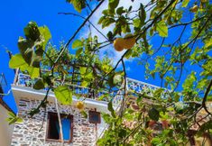 Others 7 Lemon Villa Hotel