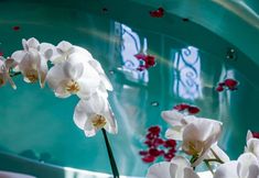 Lainnya 2 Palazzo Del Vicerè