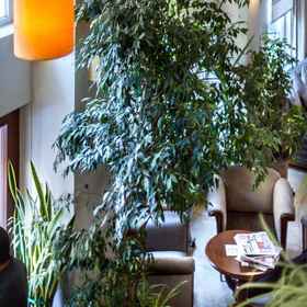 Sude Konak1 , 飯店土耳其浴