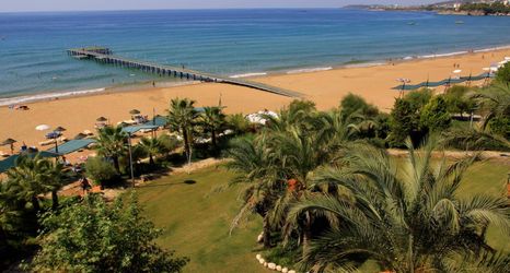 その他 2 Pegasos Club