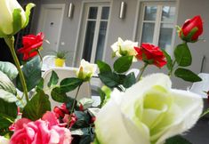 Others 4 Avenue Hotel Como