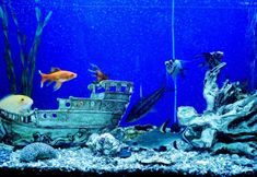 Others 3 Sea Princess Motel