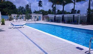 Others 4 Travellers Palm