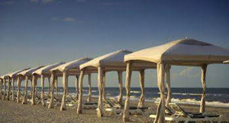 其他 2 Omni Amelia Island Plantation