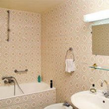 Others 4 Camélia International