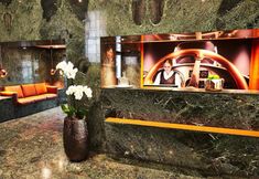 其他 3 Steigenberger Hotel Bellerive au Lac