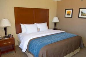 其他 4 Comfort Inn and Suites Plano