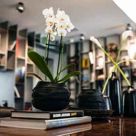 Hotel Sir F.K. Savigny, Berlin1 , 飯店柏林工业大学