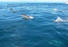 其他 5 Courtyard by Marriott Camarillo