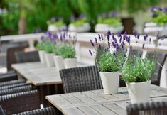 Others 4 Best Western Hotel Der Lindenhof