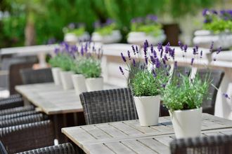 Others 4 Best Western Hotel Der Lindenhof