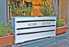 Others 3 Alyon Suite Hotel Istanbul