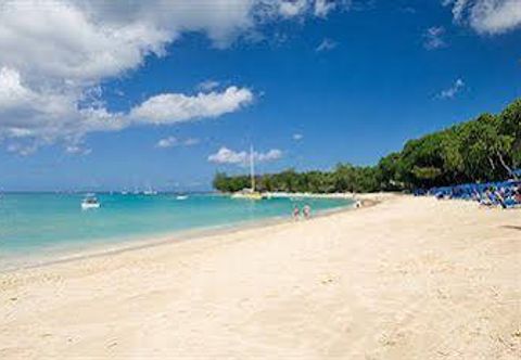 Others Travellers Palm