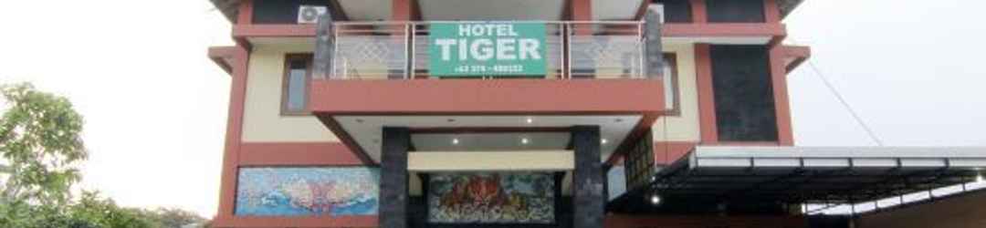 อื่นๆ 老虎酒店(Hotel Tiger)