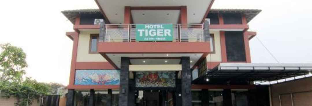 อื่นๆ 老虎酒店(Hotel Tiger)