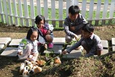 Entertainment Facility Surya Hotel & Cottages Prigen