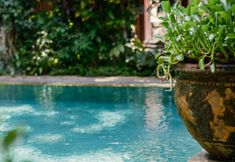 Swimming Pool 5 Barong Resort Ubud by Puri Signatures