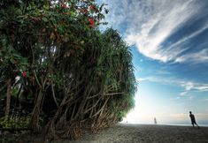 Nearby View and Attractions 7 Central Inn Senggigi