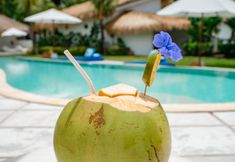 Bar, Cafe and Lounge 7 The Apartments Umalas