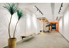 ロビー 7 Canary Hotel