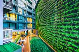 Cross Vibe Chiang Mai Decem Nimman Hotel (formerly X2 Vibe Vibe Chiang Mai Decem), THB 918.94