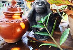 기타 2 Panda House