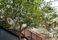 共用スペース 7 Fulmar Pasteur