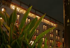 Exterior 2 Meotel Purwokerto by Dafam