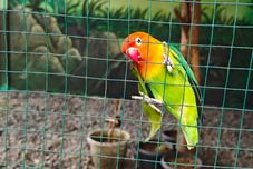 娯楽施設 Meotel Purwokerto by Dafam