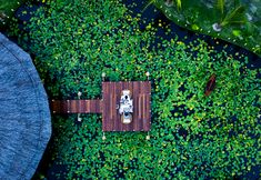 Entertainment Facility 6 Fusion Resort Cam Ranh - All Spa Inclusive