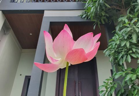 외관 Villa Kammala
