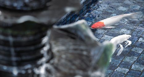 Lobby 2 Best Western Plus Coco Palu