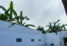 Swimming Pool 2 Hotel Purnama Cipayung