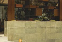 Others 6 Blackbird Hotel Bandung