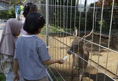 其他 7 Hotel Indah Palace Tawangmangu