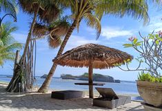 附近景观和景点 3 Wakatobi Patuno Diving & Beach Resort