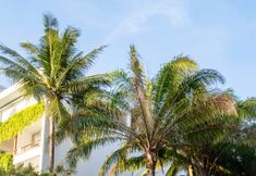 Others 2 Holiday Inn Resort PHUKET SURIN BEACH by IHG, an IHG Hotel