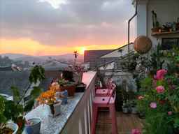 Strawberry Hotel, 299.000 VND