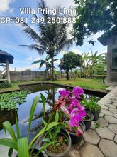 Exterior 4 Villa Pring Lima