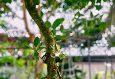 Khác 4 Huynh Thao Hotel